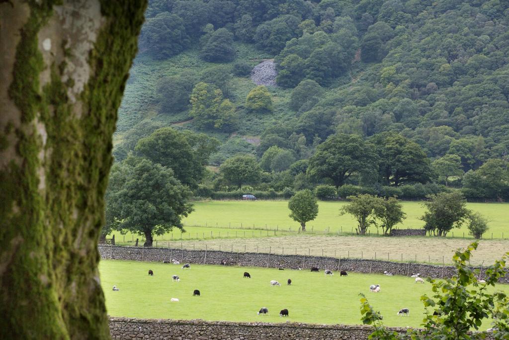 Hazel Bank Country House Borrowdale Valley Rosthwaite Exterior foto