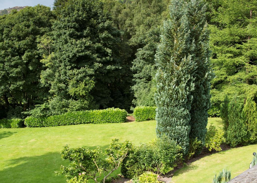 Hazel Bank Country House Borrowdale Valley Rosthwaite Exterior foto